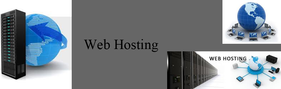 Web Hosting